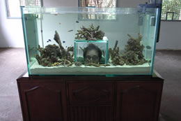 aquarium　シンガポールビエンナーレ　2006
